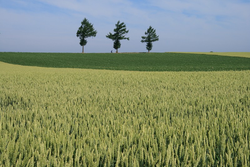 ファイル 110-3.jpg