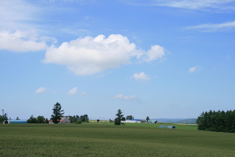 ファイル 112-5.jpg