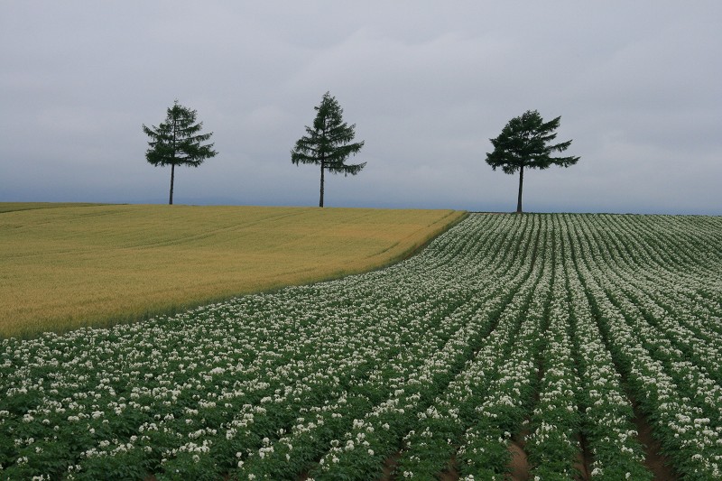 ファイル 113-1.jpg