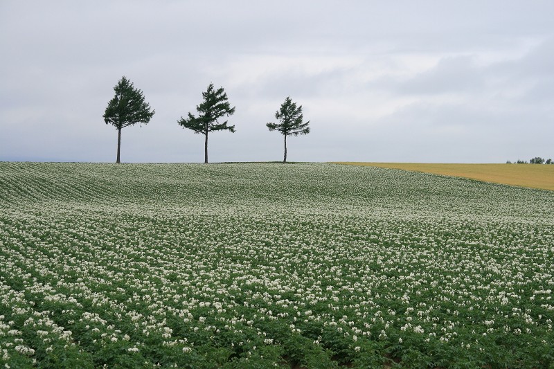 ファイル 113-2.jpg