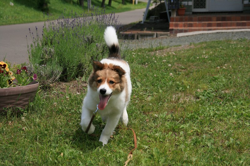 ファイル 113-4.jpg