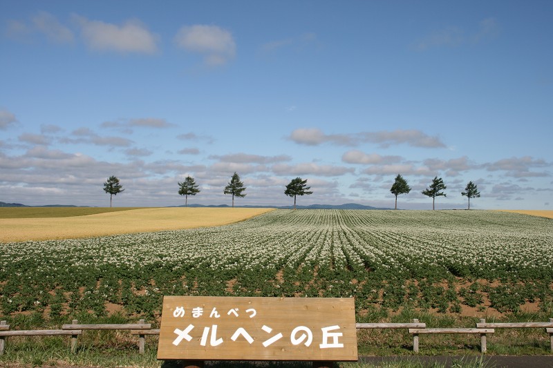 ファイル 114-2.jpg