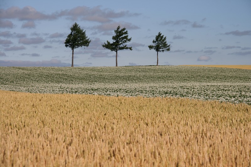 ファイル 114-3.jpg