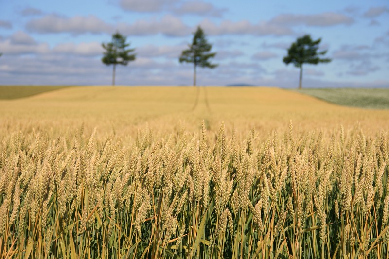 ファイル 114-4.jpg