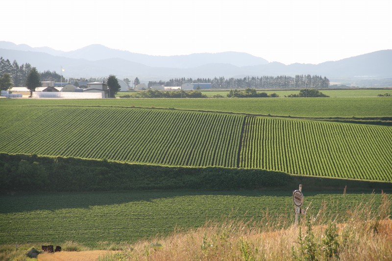 ファイル 114-5.jpg