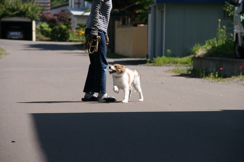 ファイル 116-4.jpg