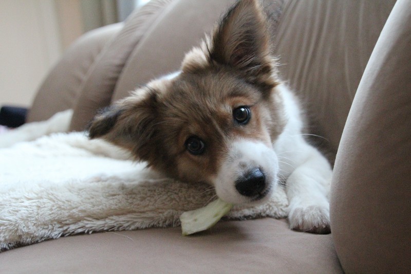 ファイル 116-5.jpg