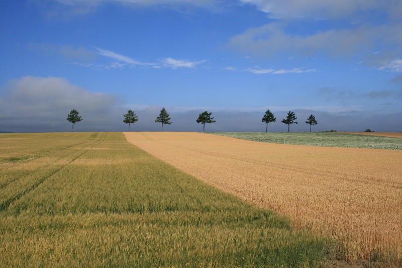 ファイル 117-1.jpg