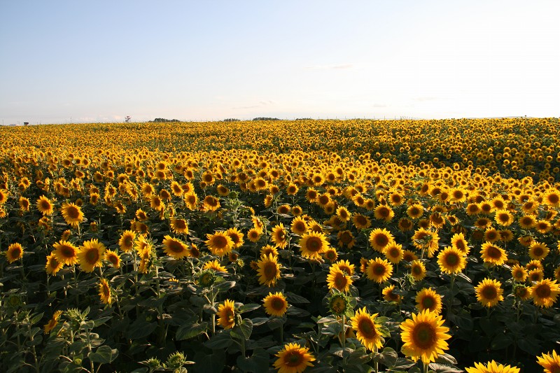 ファイル 117-2.jpg