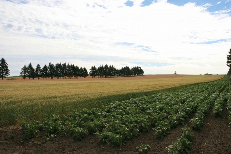 ファイル 118-1.jpg