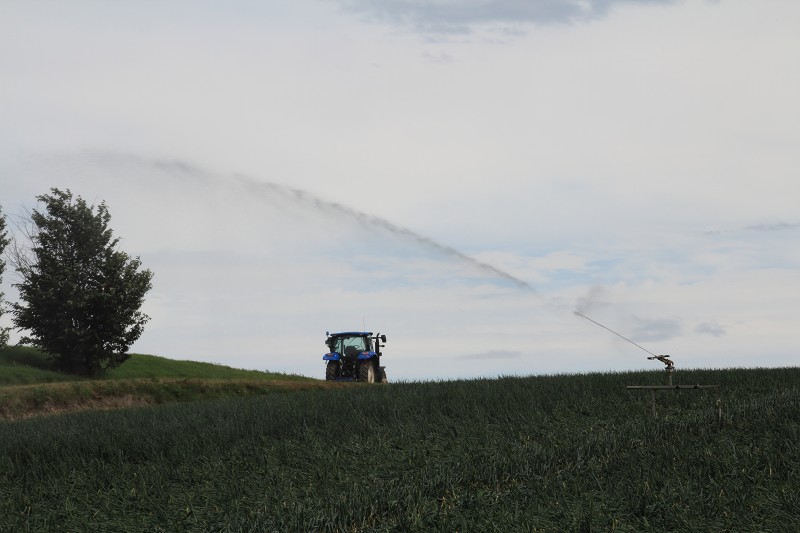 ファイル 119-4.jpg