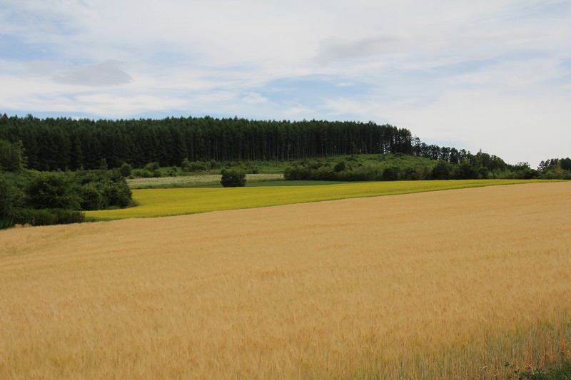 ファイル 119-5.jpg