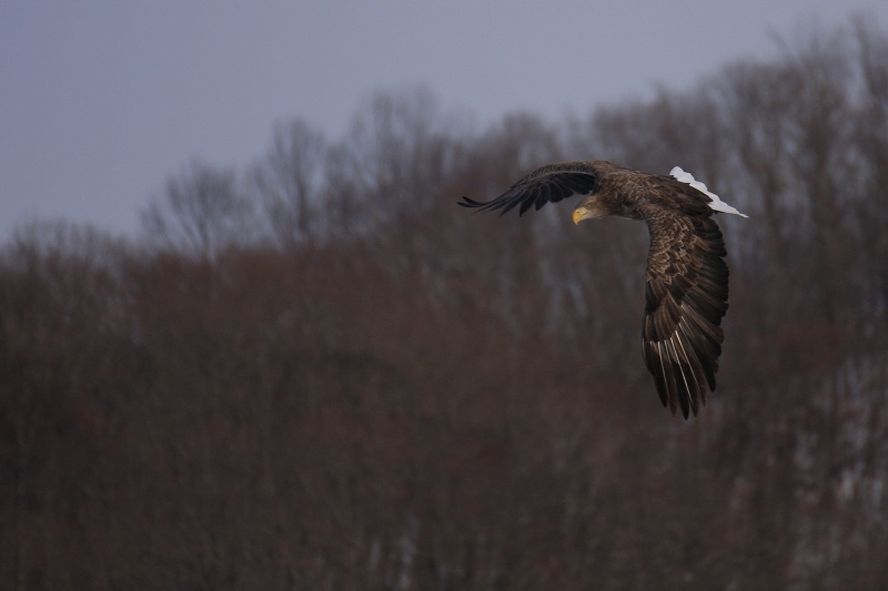 ファイル 12-2.jpg