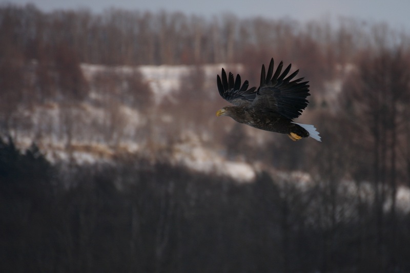 ファイル 12-3.jpg