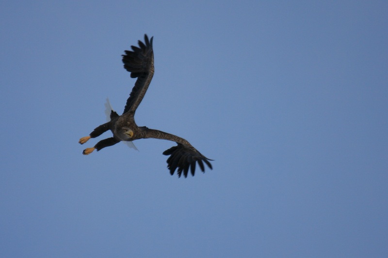 ファイル 12-4.jpg