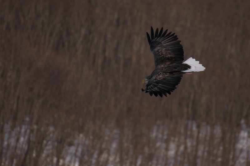 ファイル 12-5.jpg