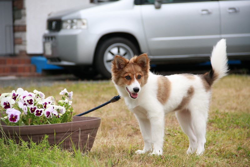 ファイル 120-2.jpg