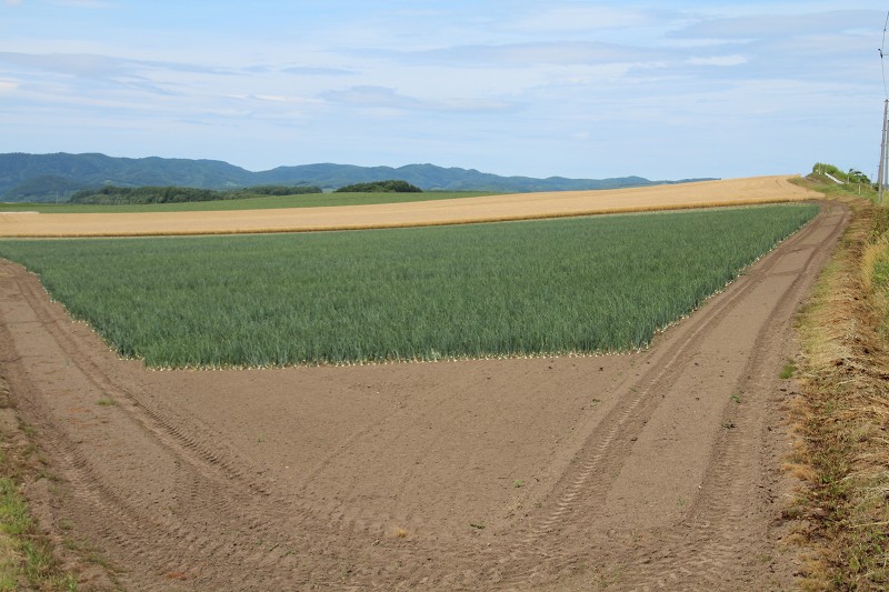 ファイル 120-3.jpg