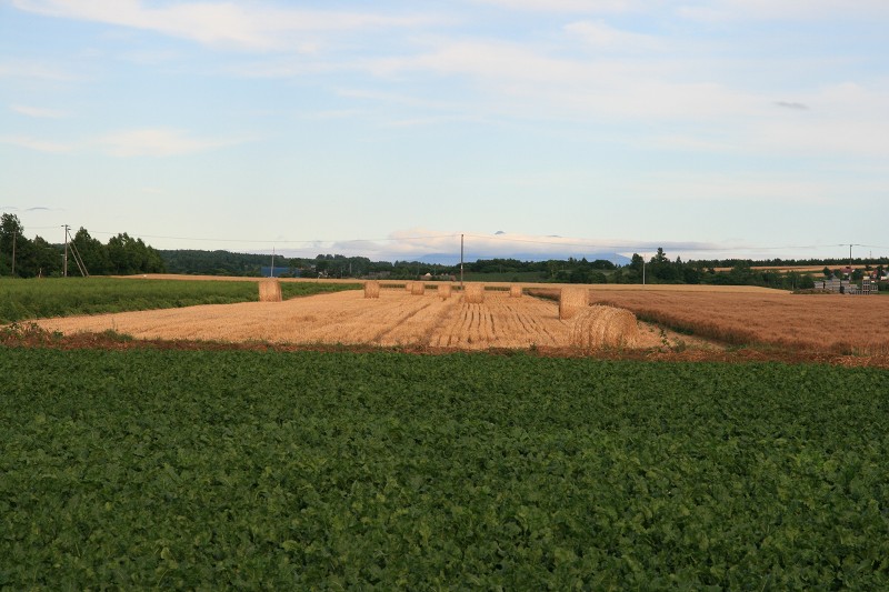 ファイル 121-3.jpg