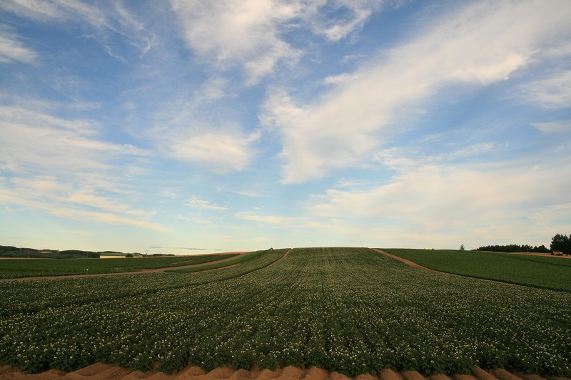 ファイル 121-5.jpg