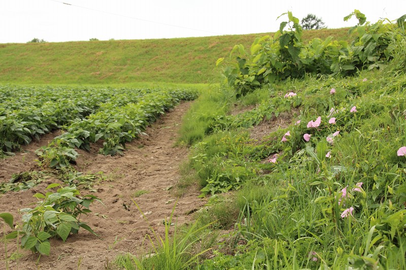 ファイル 122-4.jpg