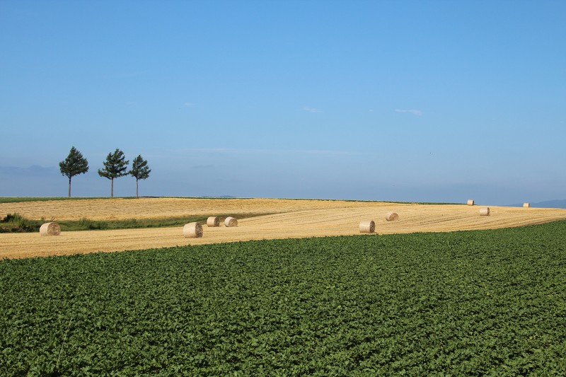 ファイル 124-1.jpg