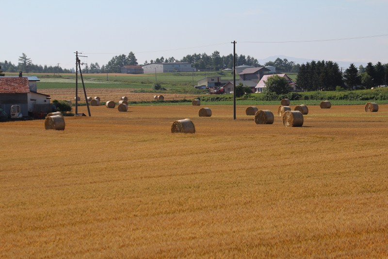 ファイル 124-2.jpg