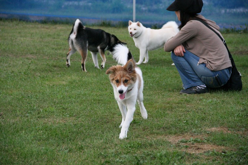 ファイル 126-3.jpg