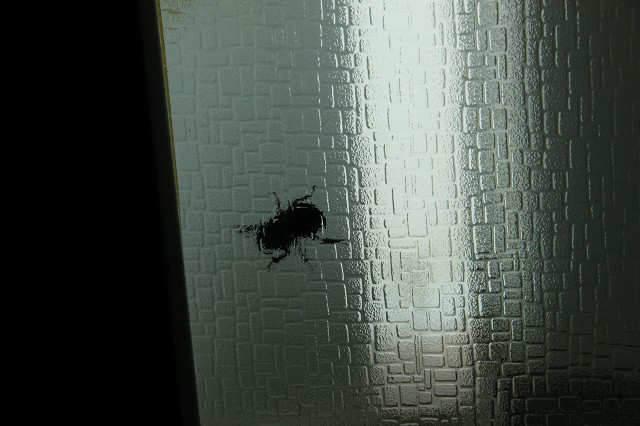 ファイル 127-1.jpg