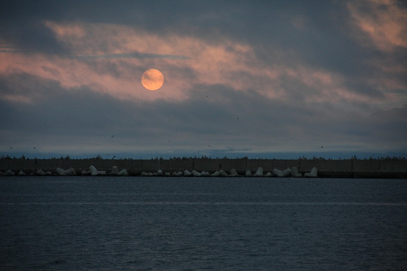 ファイル 128-4.jpg