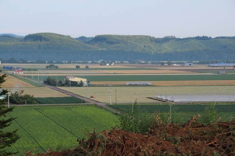 ファイル 129-1.jpg