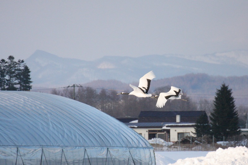 ファイル 13-3.jpg