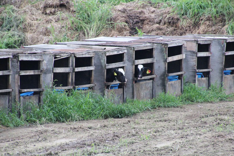 ファイル 130-3.jpg