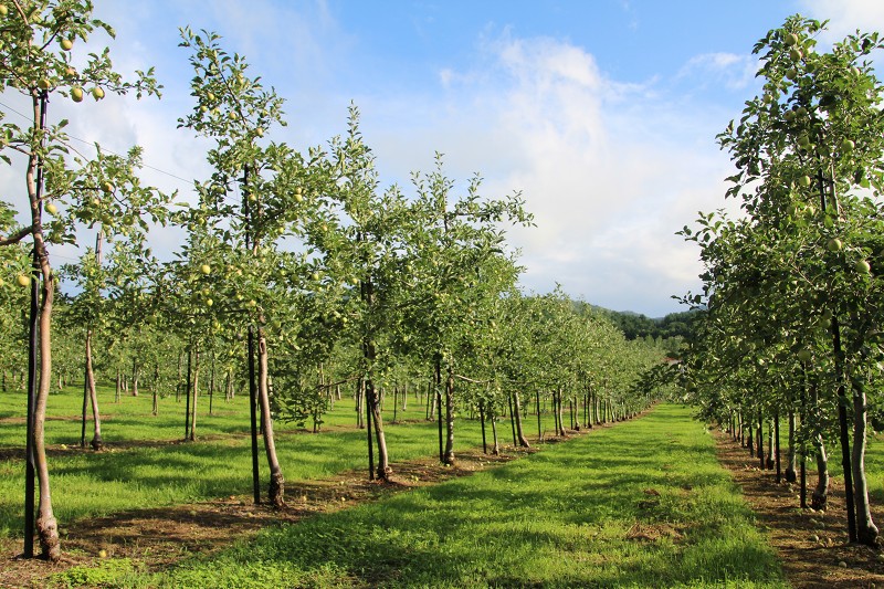 ファイル 132-1.jpg