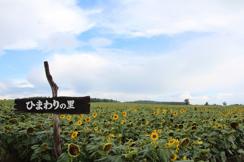 ファイル 139-1.jpg