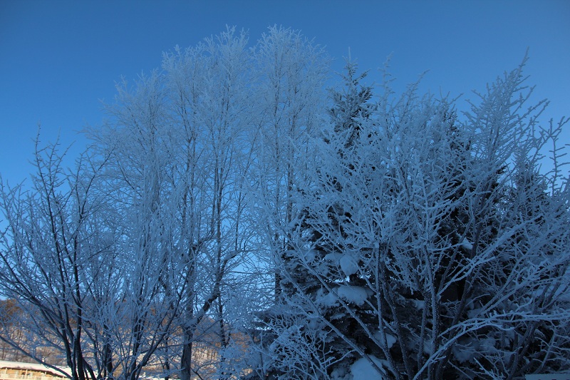 ファイル 14-1.jpg