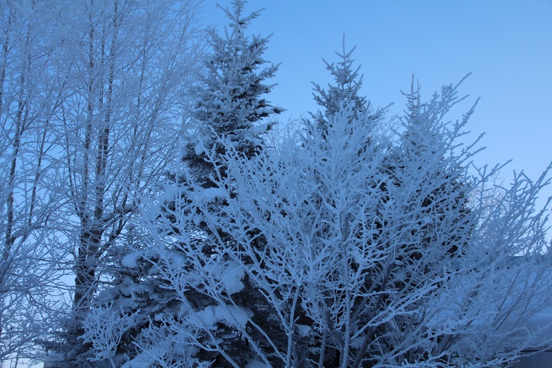 ファイル 14-2.jpg