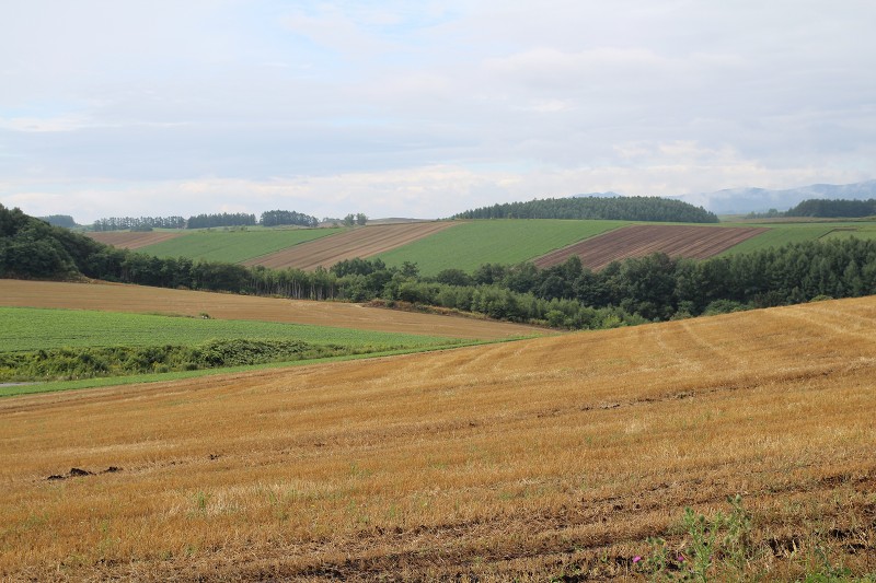 ファイル 140-3.jpg