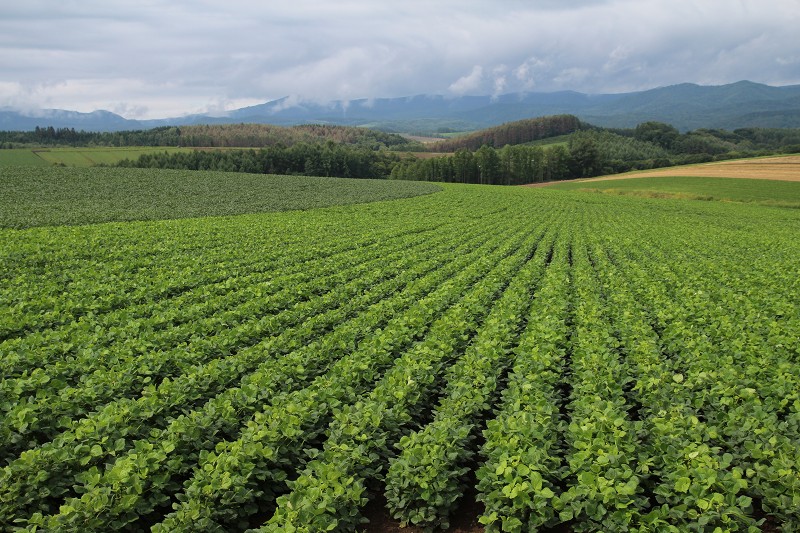 ファイル 140-4.jpg