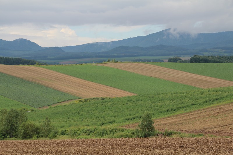 ファイル 141-2.jpg