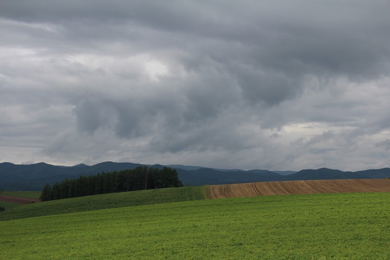 ファイル 141-4.jpg