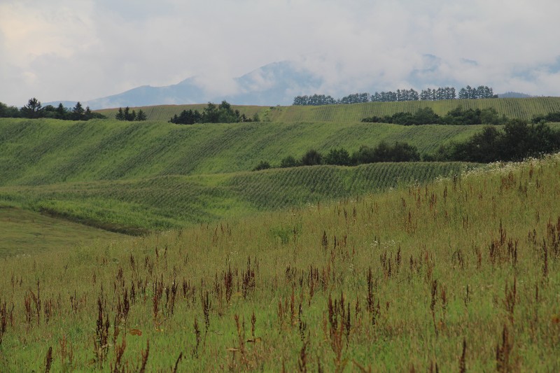 ファイル 142-3.jpg