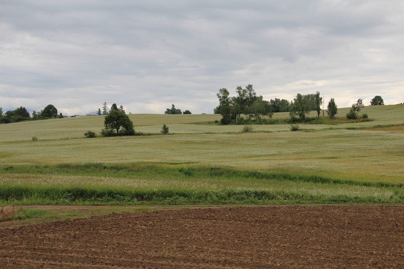 ファイル 142-5.jpg