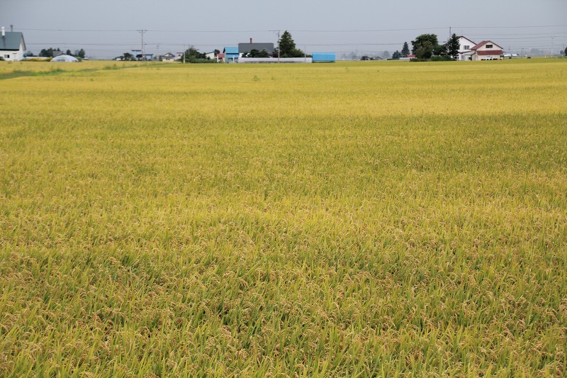 ファイル 144-2.jpg