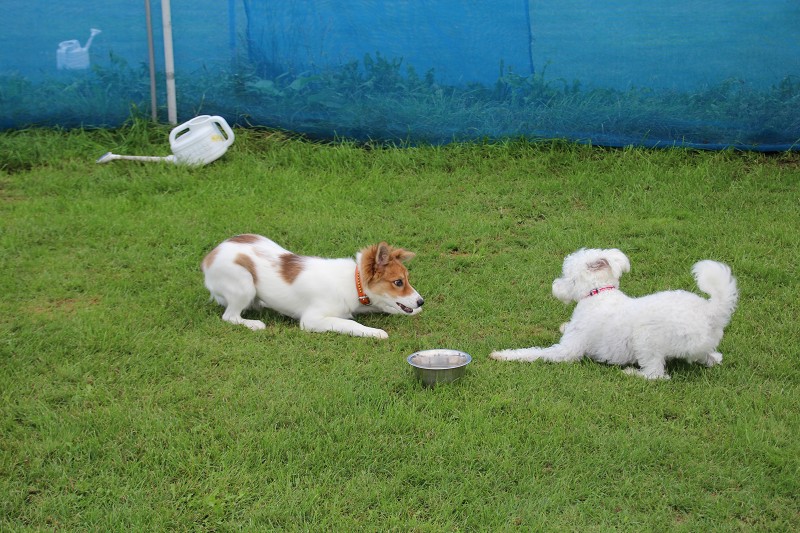 ファイル 145-1.jpg