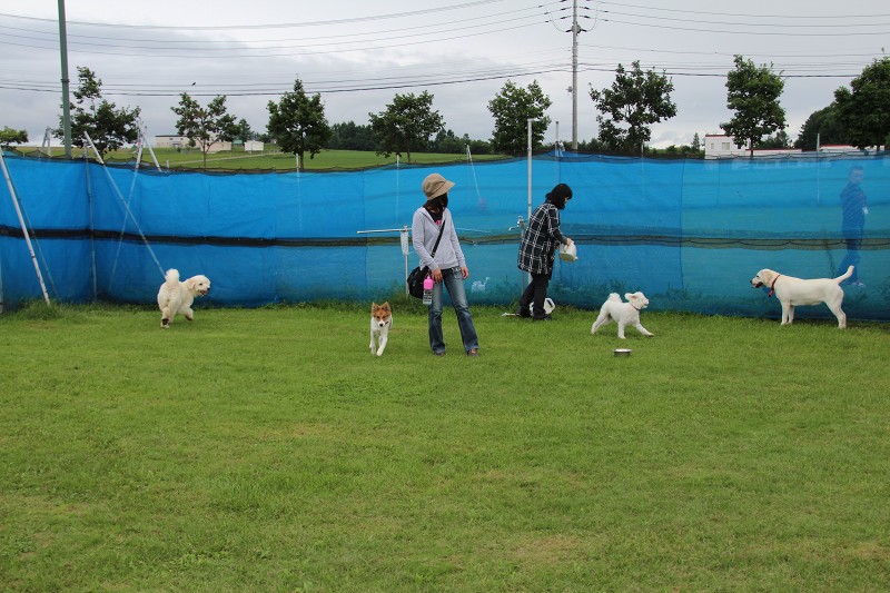 ファイル 145-2.jpg