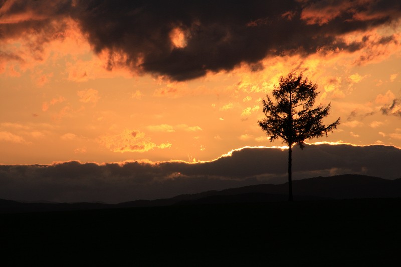 ファイル 146-3.jpg