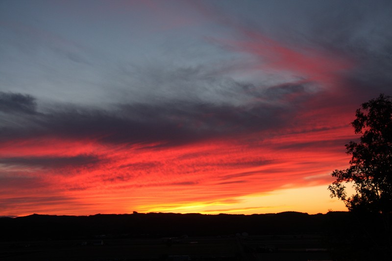 ファイル 146-5.jpg