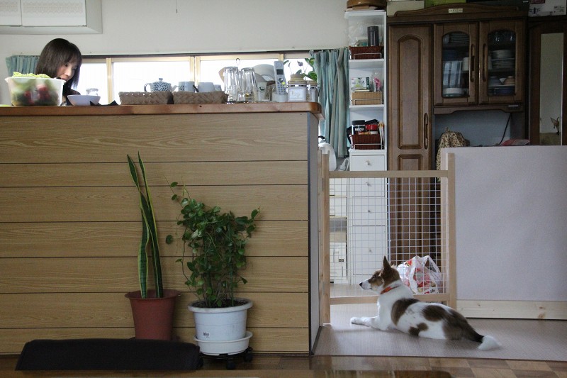 ファイル 149-1.jpg