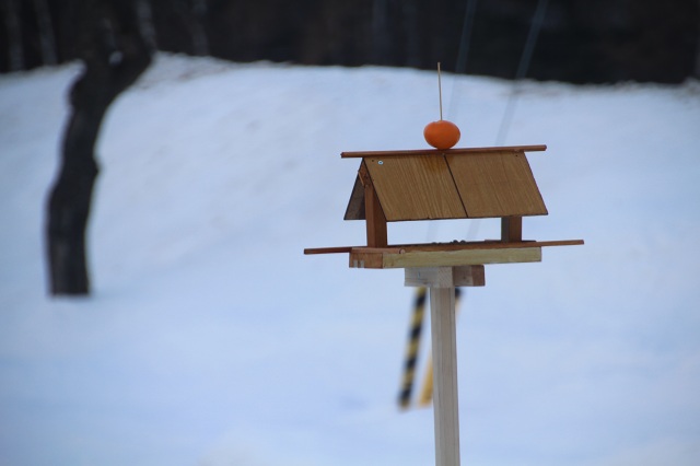 ファイル 15-1.jpg